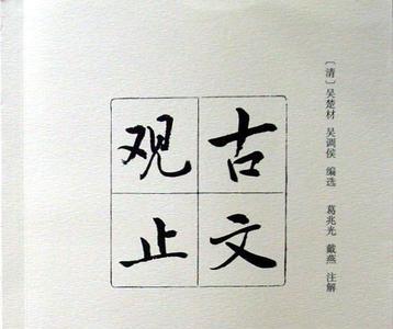 静的文言现象