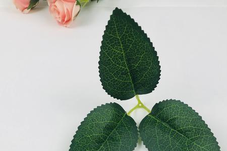 丝绸玫瑰花叶子怎么做