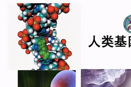 人类基因组有哪些类型