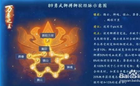梦幻西游狮驼奇经八脉选择