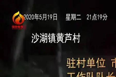 驻村队员不在岗给啥处罚