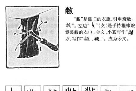 棹数的读音