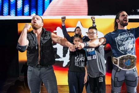 wwe有几个系列的赛事