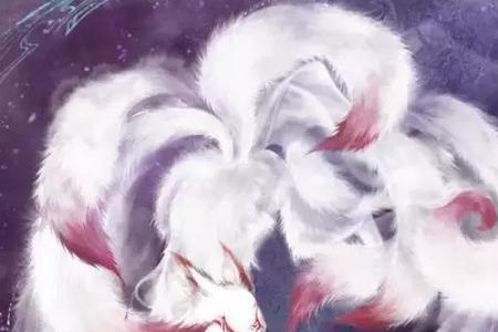 九尾白狐的名字有哪些