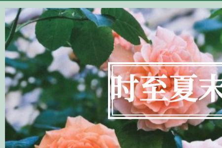 余生有你未来可期意思是表白吗