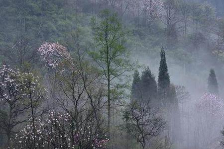 空山新雨后什么意思