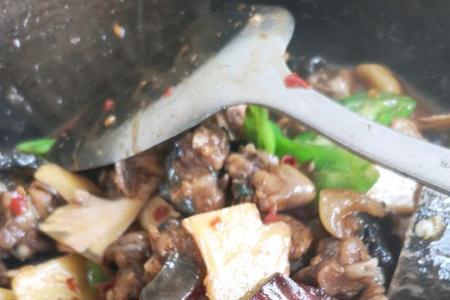火哥红烧甲鱼最正宗的做法