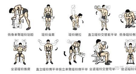 练哑铃是买两个好还是一个