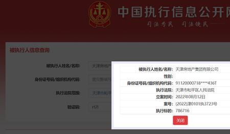 多年前被执行信息怎么查