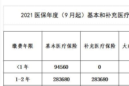 医疗保险缴费情况怎么写