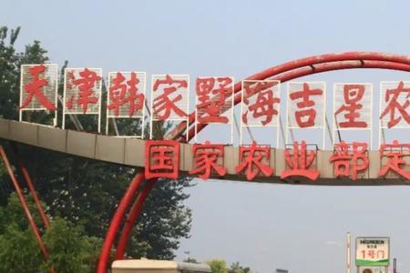 海吉星市场营业时间