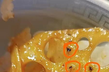 莲藕生虫是什么原因