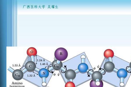 H/C是什么元素