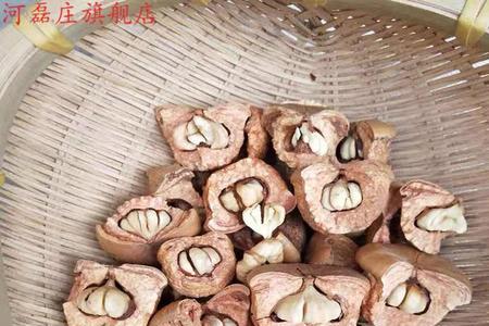 风流果果仁是什么颜色