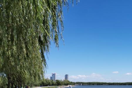 去一湖三岛把车停哪好
