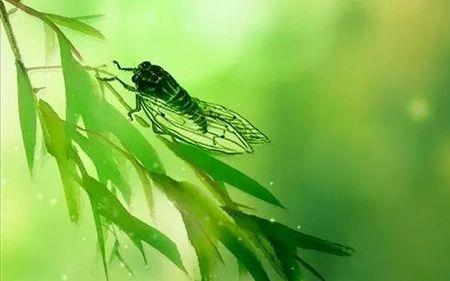 形容六月骄阳似火的天气的诗词
