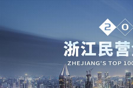 浙江十大外企排名