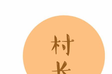 农村选举书记村长一肩挑合理吗