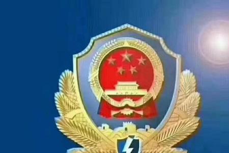 什么是审车