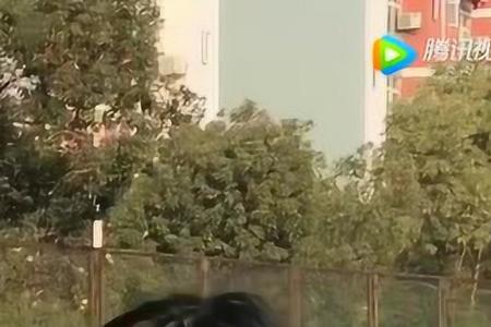 太腼腆的女生是好还是不好