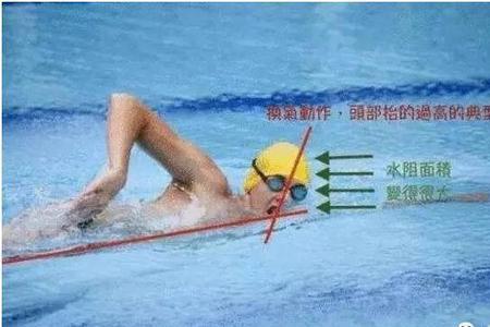 憋气游泳是无氧运动吗