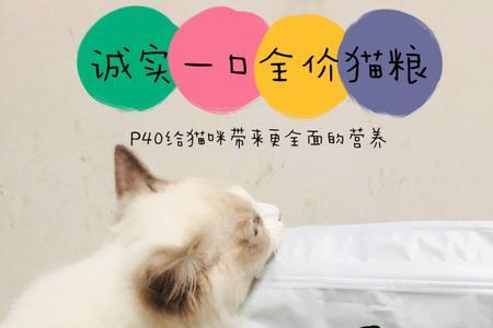 换猫粮猫粮盒要洗吗
