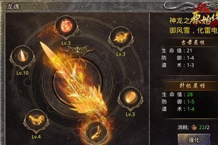 电龙魂加什么属性