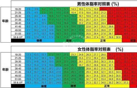 bni怎么算