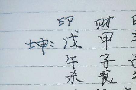 戊子里面一点念什么