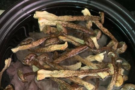 鹿茸炖不烂怎么回事