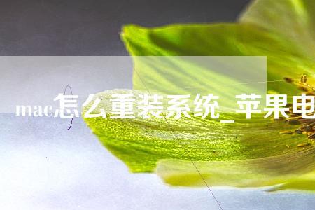 苹果电脑装系统太慢怎么解决