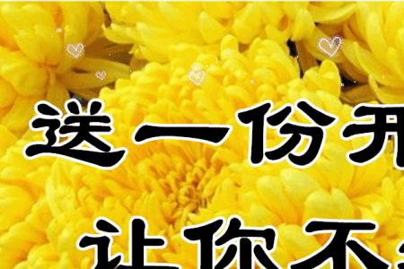 祝别人长长久久的词语