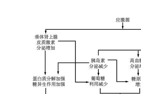 应激反应英文简称