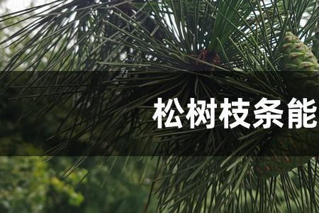 柳树枝直接拆下来能插活吗