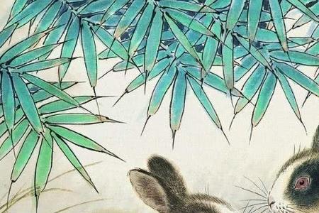 珍贵是什么生肖