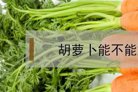 地萝卜放冰箱为什么会坏