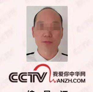 编导证书怎么领取
