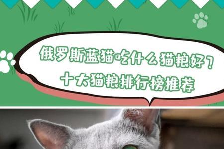 蓝猫幼崽吃什么猫粮好