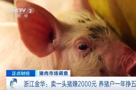 自养猪宰杀销售办什么手续