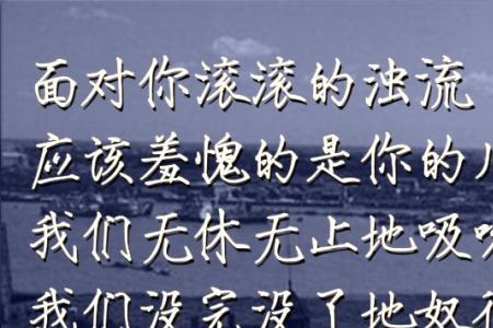 赞美上海人的语句