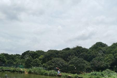 东莞东江钓鱼点合法吗