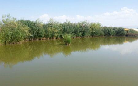 大河口景区旅游攻略