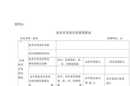 开发支出是什么意思