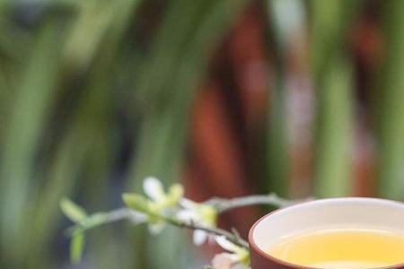 人生就像一杯茶这首歌的含义
