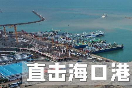 海安码头到海口多远