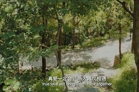 两个人分开又相遇的几率
