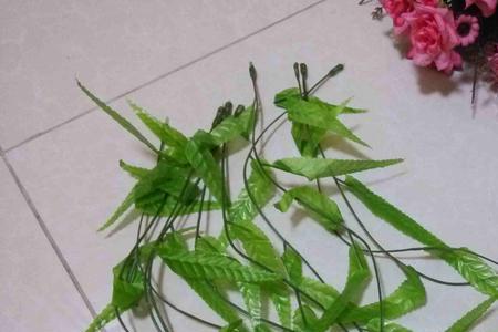 柳树枝和藤条是否有区别吗