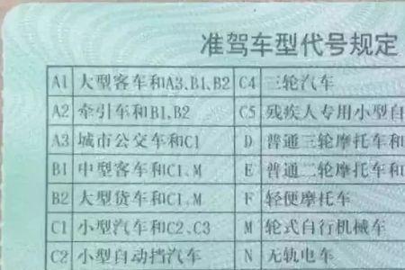 a1驾照有多难考
