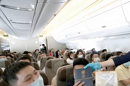 东航上面旅客都是些什么人