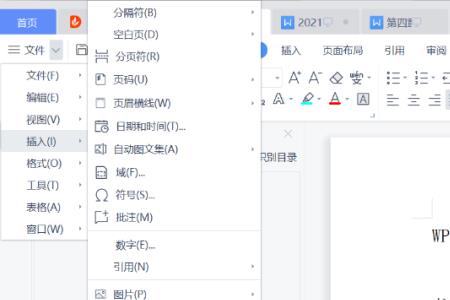 wps如何在单独两页中插入单独页码